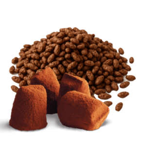Truffes riz soufflé